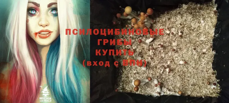 Псилоцибиновые грибы Cubensis  Калач-на-Дону 